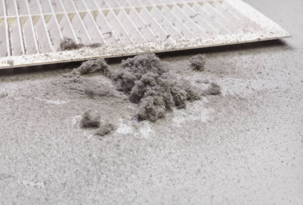 Best Air Duct Cleaning Company Near Me  in Seyur, MO