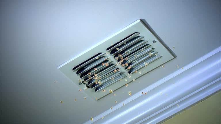 Best Air Duct Cleaning Near Me  in Seyur, MO