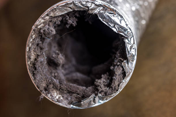 Best Air Duct Cleaning Near Me  in Seyur, MO