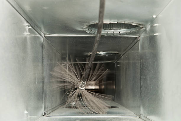Best Professional Duct Cleaning Services  in Seyur, MO