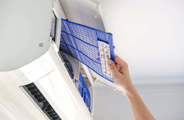 Best Affordable Duct Cleaning Services  in Seyur, MO
