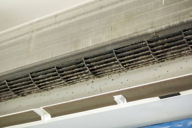 Best Air Duct Cleaning Cost  in Seyur, MO