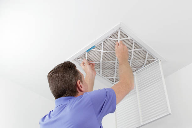 Best Air Vent Cleaning Services  in Seyur, MO